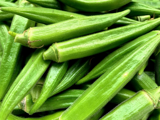 okra_eye_catch