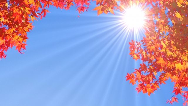 秋分の日_eyecatch