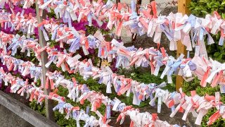 おみくじ_eye_catch